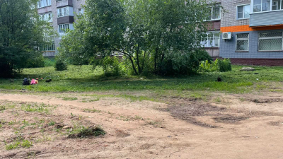 Широнинцев,11а Покос травы